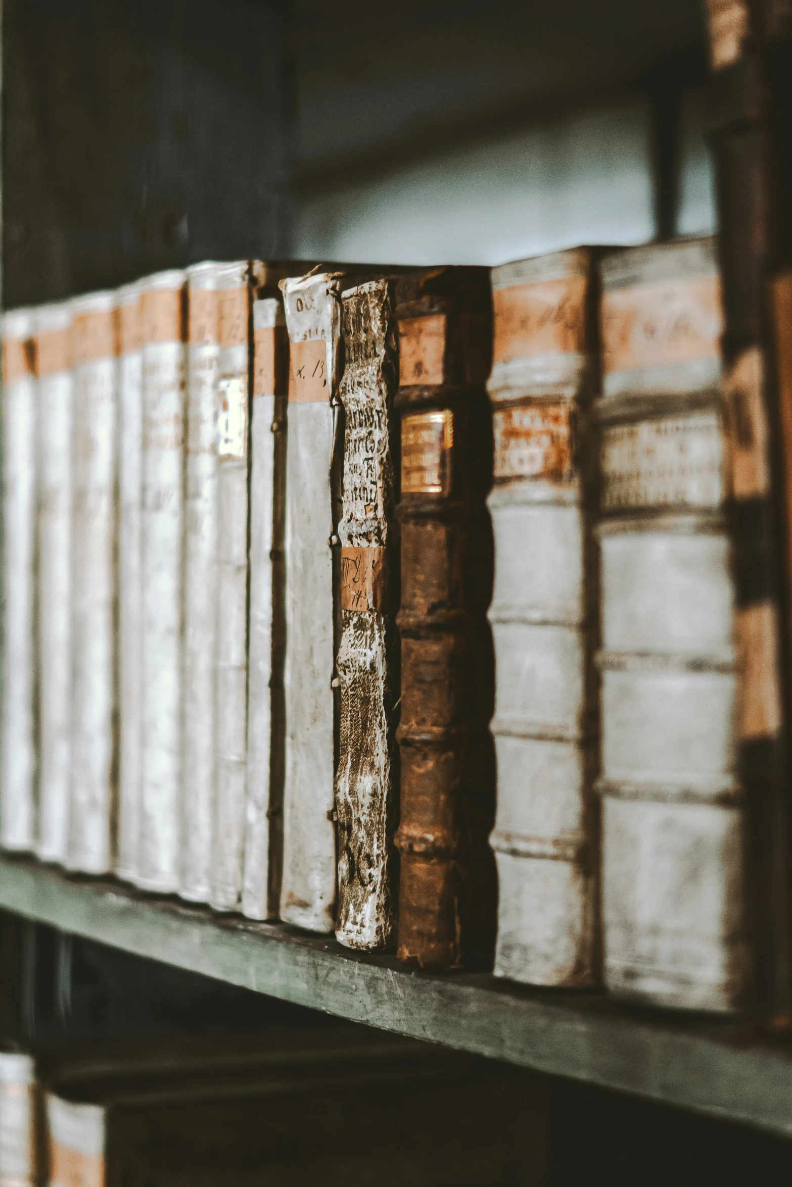 a shelf of books with old book cases