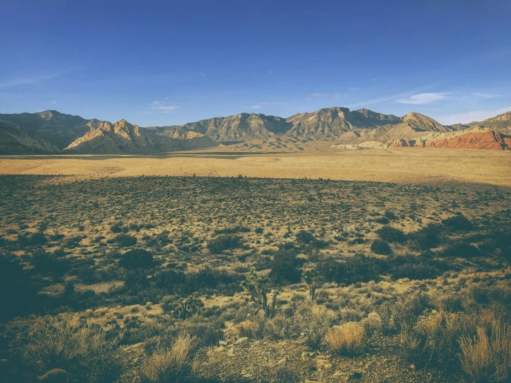 an open field that is standing in the middle of a mountain