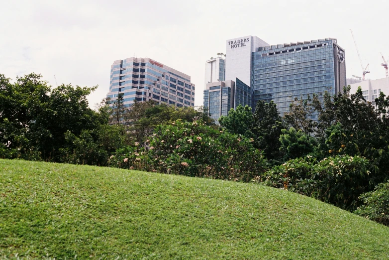 a tall building sitting above a lush green park