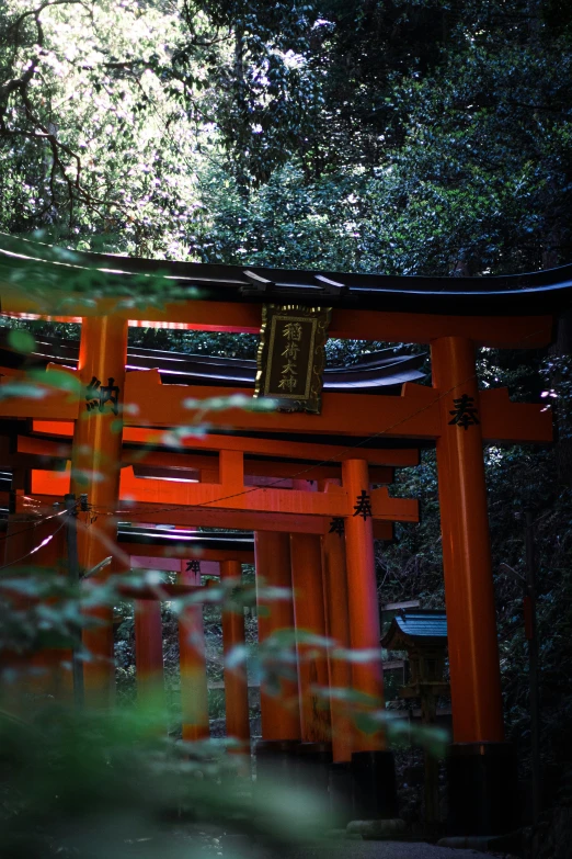 a red and orange wooden structure surrounded by green trees