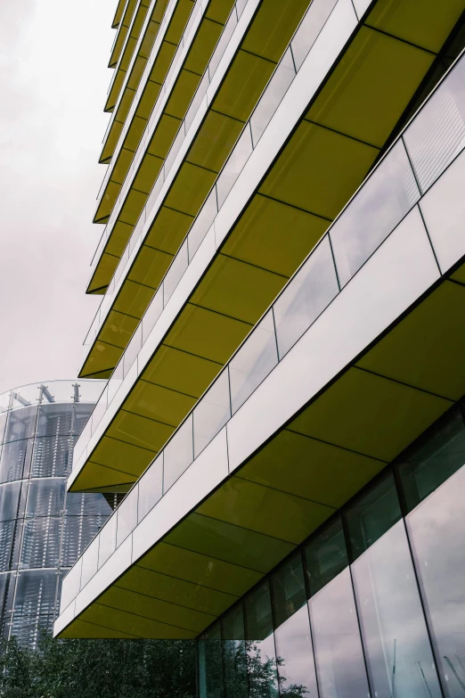 this building has windows with green sides and a tree in front of it