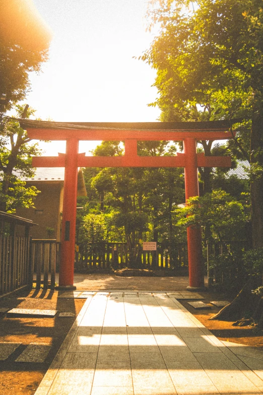 a bright sun is coming through the canopy of an entrance