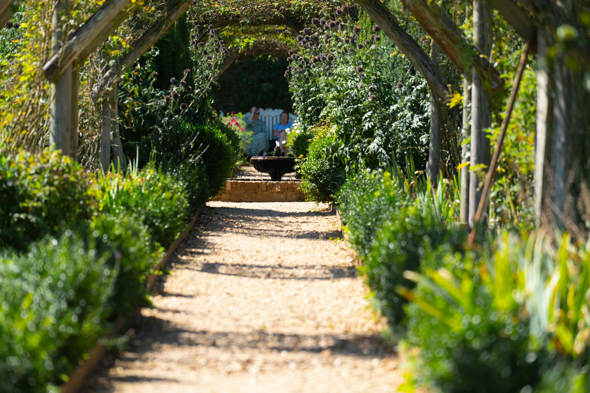 an arch covered in ivys with a bench between