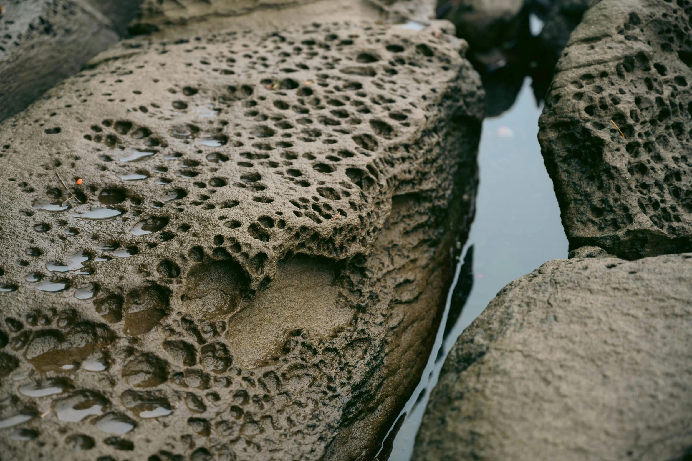 the tide moves about on the rocks and water