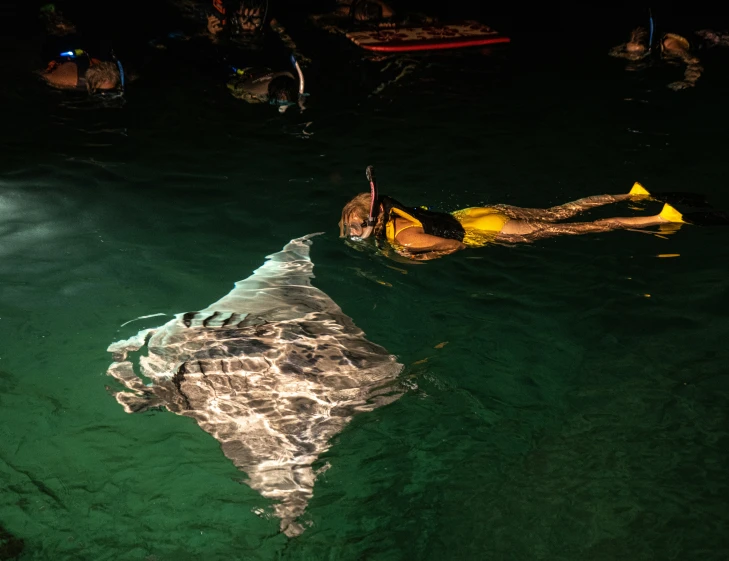 person swimming in water with a kite above his back