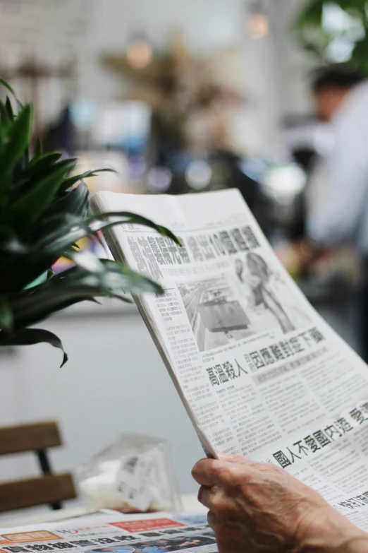 there is a person reading a newspaper with a green plant in it