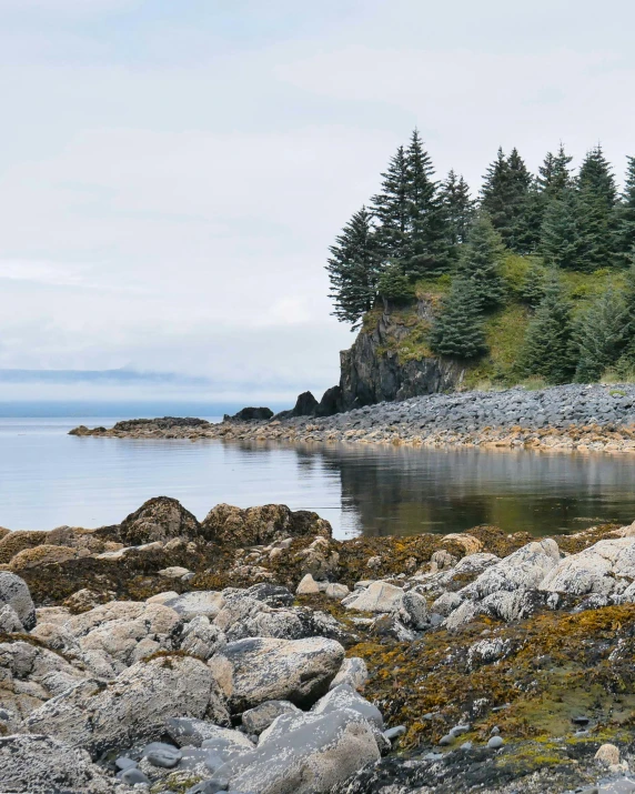 a beach covered in rocks next to the water