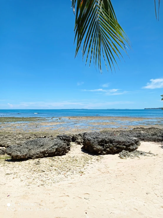 a beautiful view of the ocean from a sandy beach