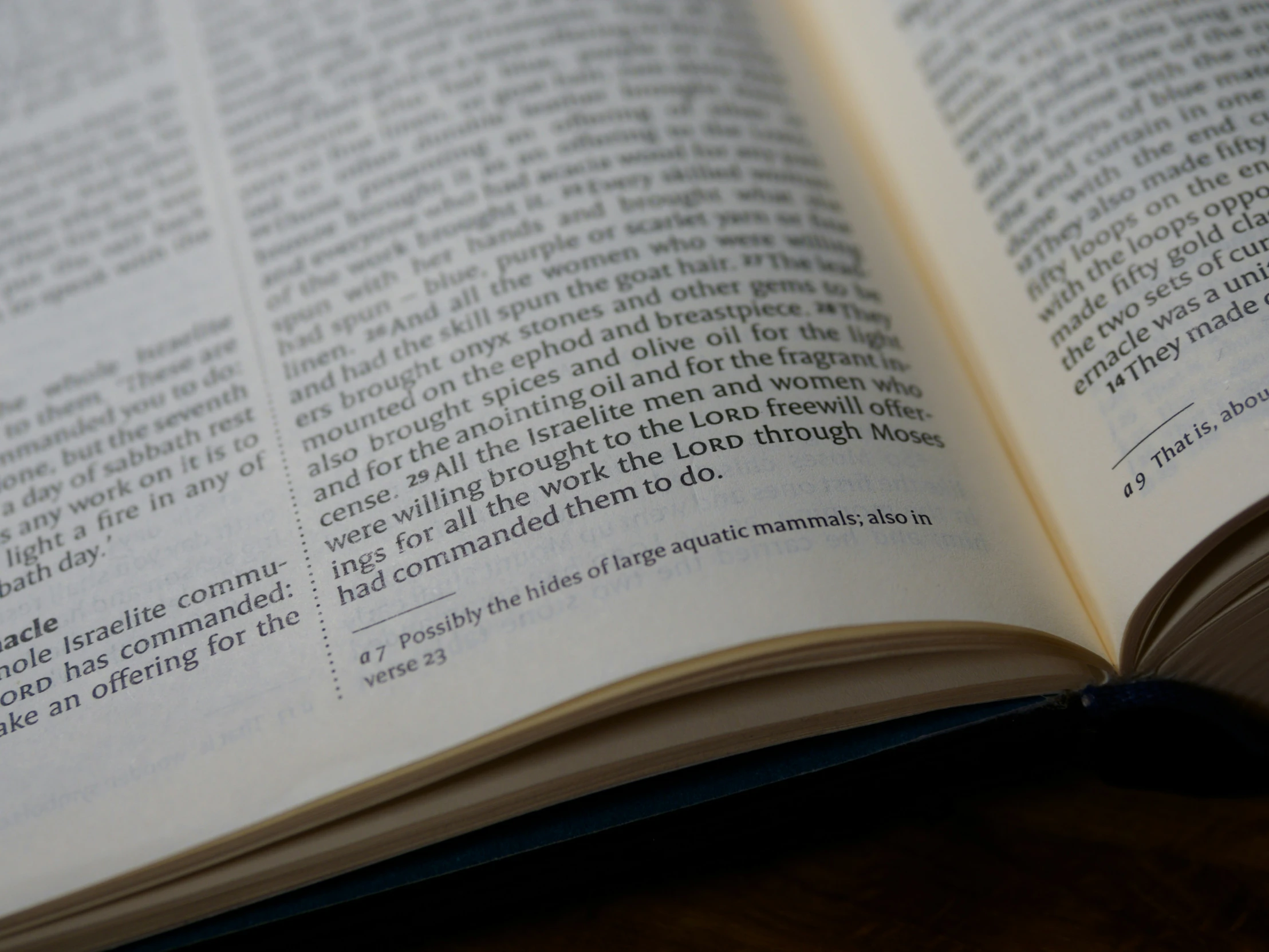 a book with a picture of a clock and words