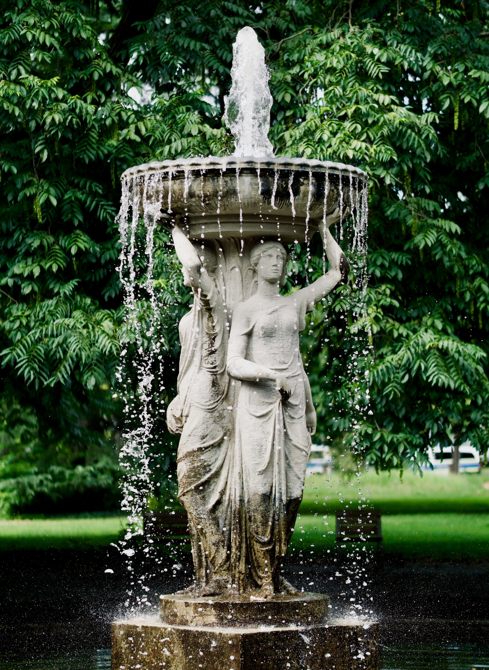 the fountain is in a park surrounded by trees