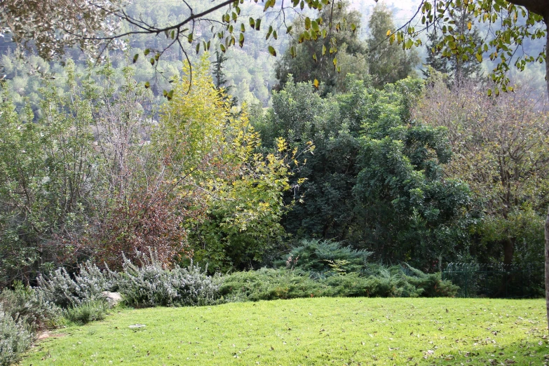 a view of a park across a body of water