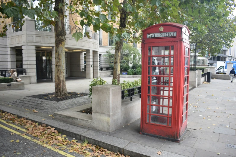 a telephone booth stands next to a tree in the city