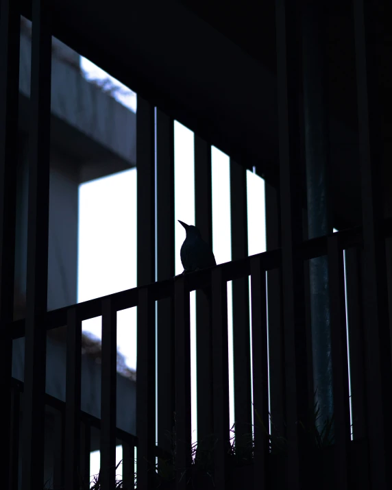 a dark, shadowy po with a bird perched on the gate