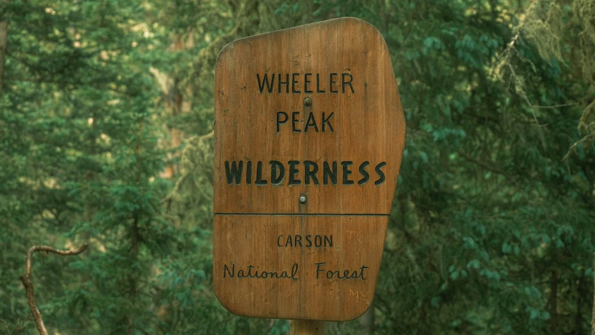 a large wooden sign sitting on the side of a lush green forest