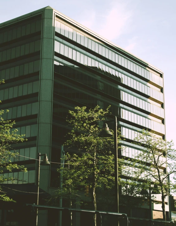 building with lots of windows on it near trees