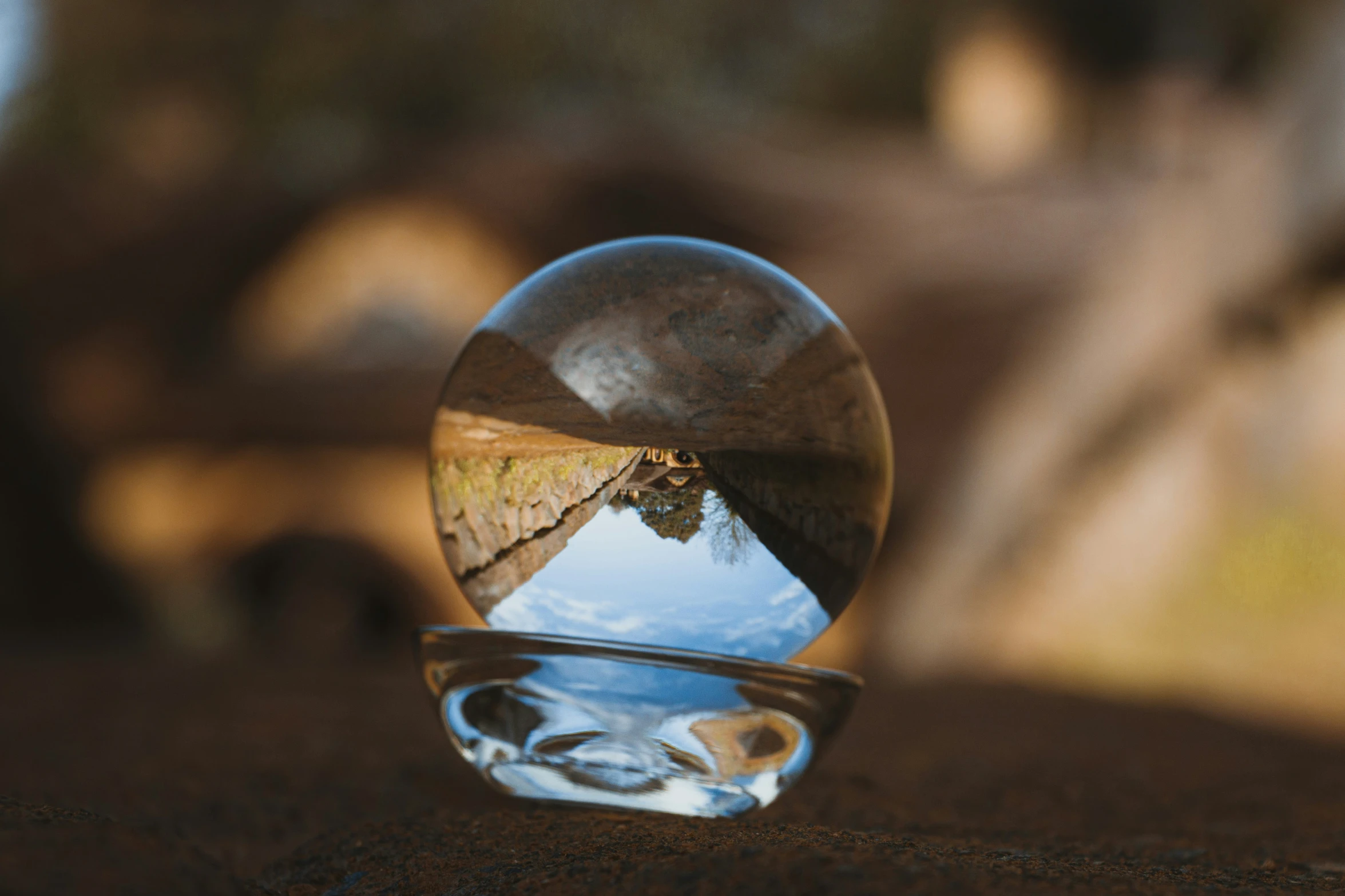 an image of trees reflected in a clear ball