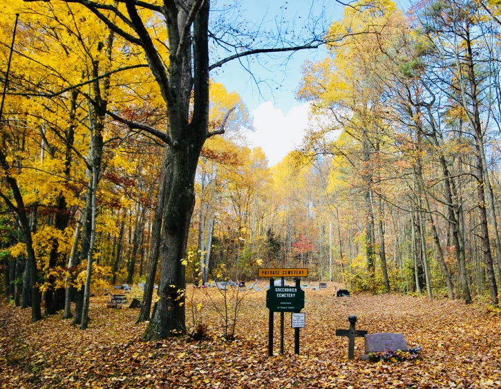 there is a sign in the middle of the fall leaves