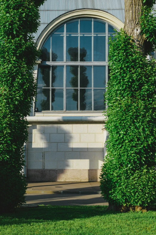 a picture of the outside of a house, through a garden arch