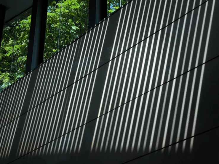 shadow on a wall with green trees in the back ground