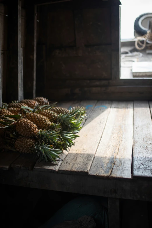 pine cones piled on top of each other