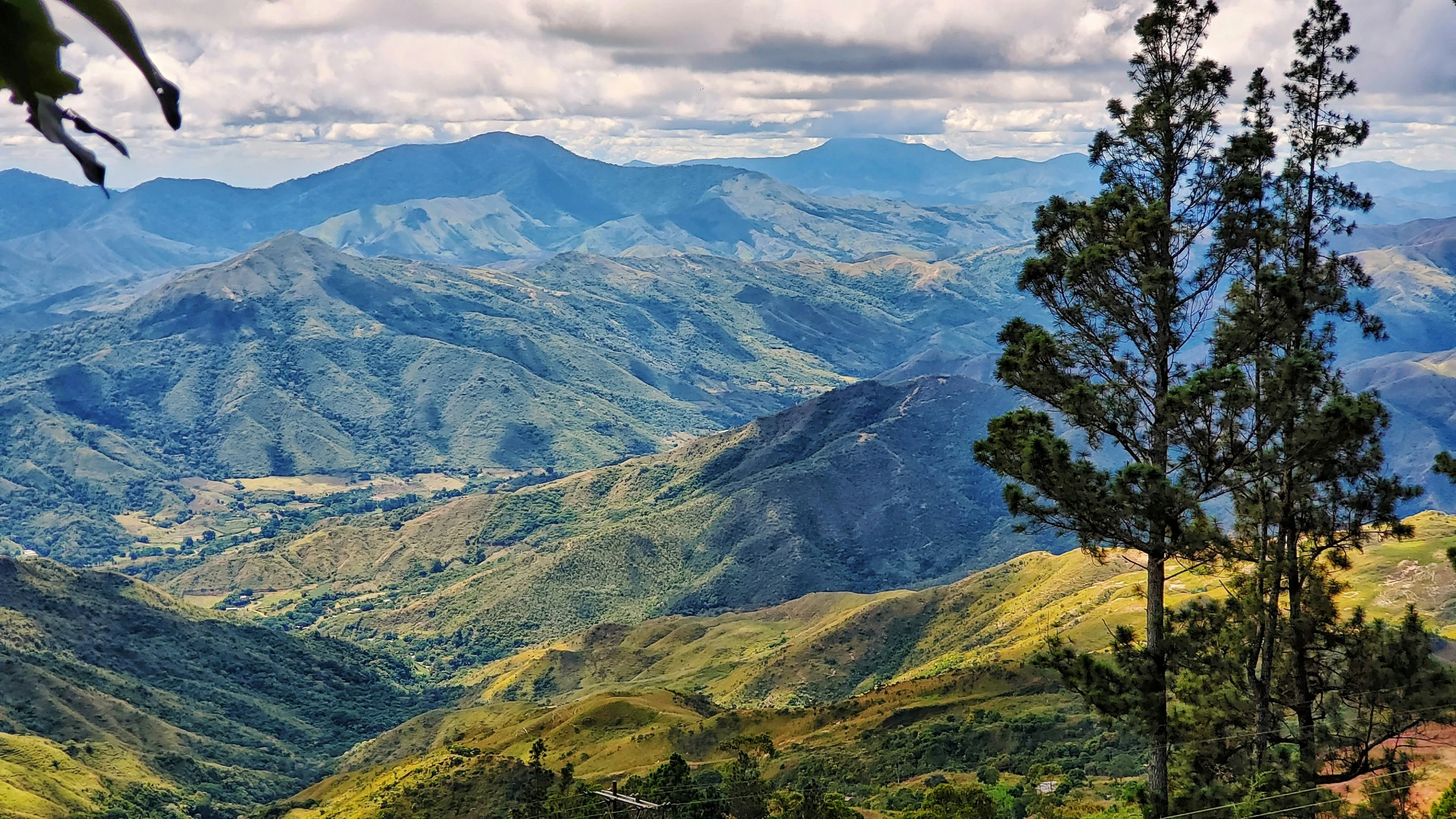 a view of a mountainous region with some trees