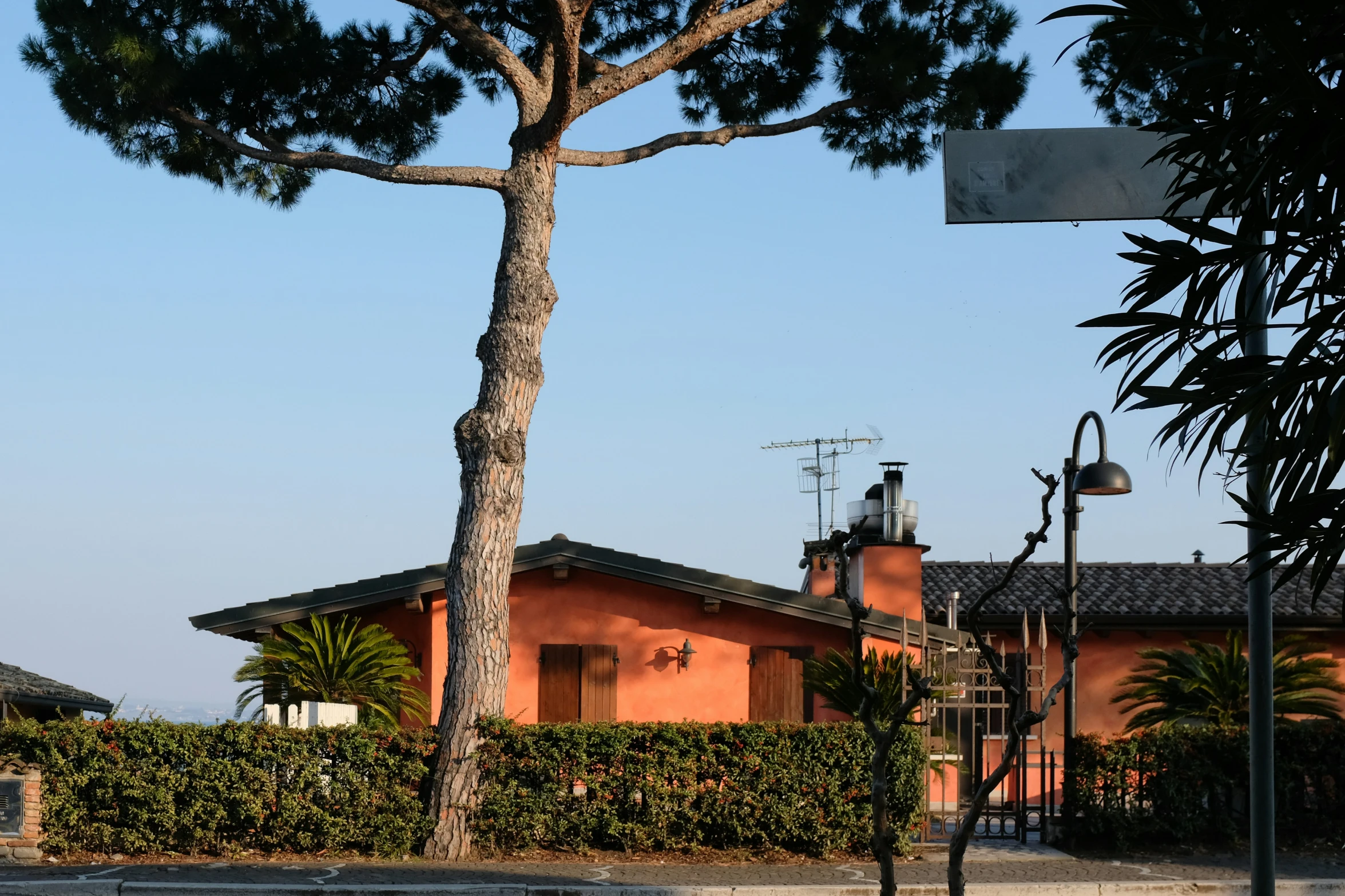 a house is shown in front of a tree