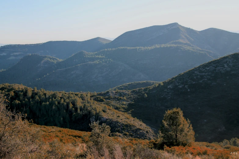 view of a mountain with sp trees and rolling hills in the background