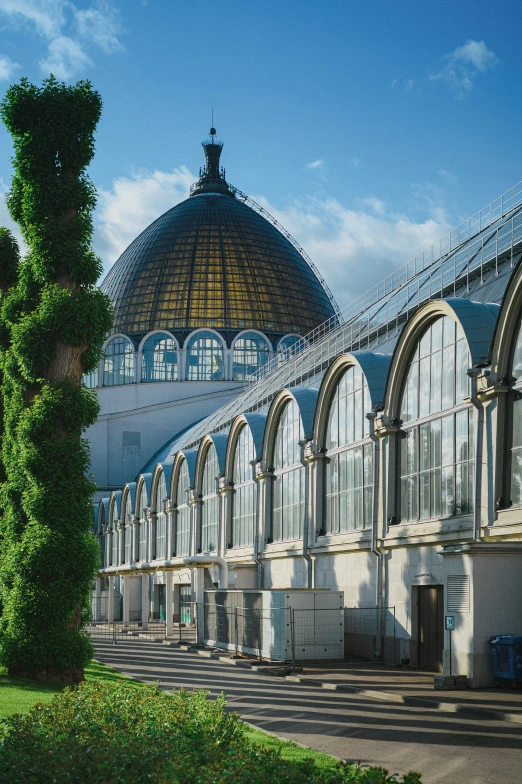 a view of the roof and exterior of a building with a tree in the foreground