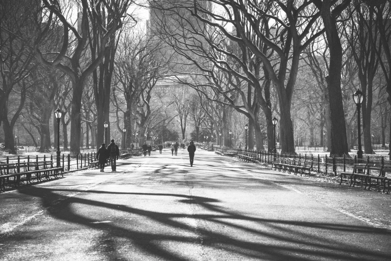 people walk along a snowy path in central park