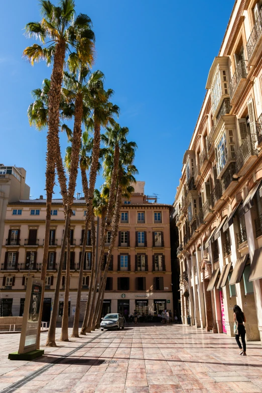 a couple of palm trees are in front of buildings