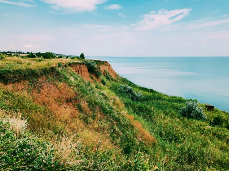 a cliff has grass growing along the edge