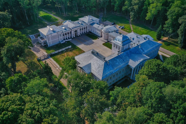 this is an aerial view of a large mansion in the woods