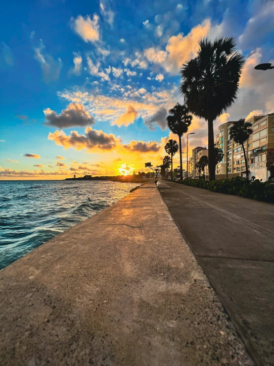 a sunset over the ocean with trees and buildings