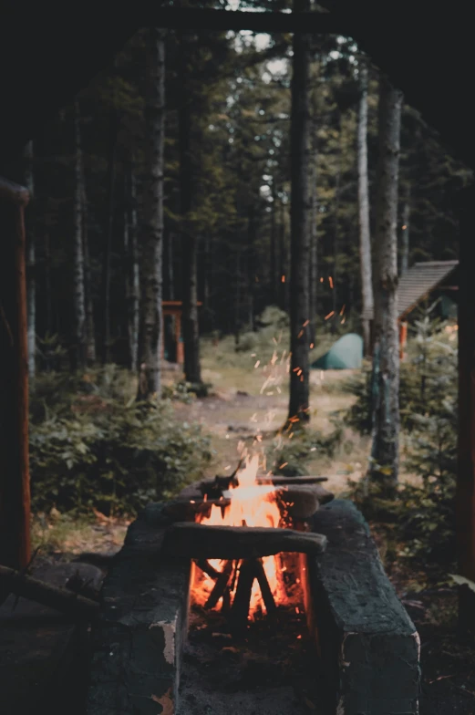 an outdoor camp fire with an open log