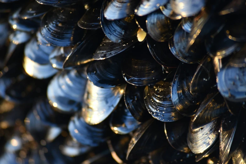 the background of a group of metal plates