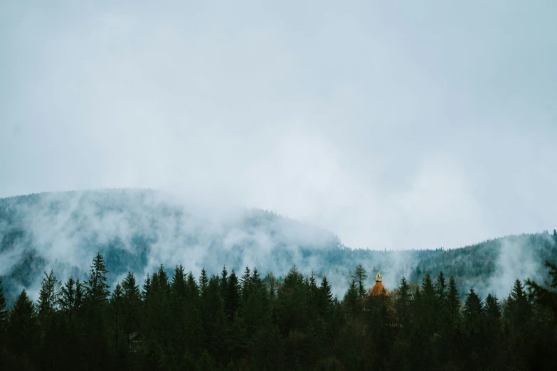 fog hangs over mountains and forest under an overcast sky