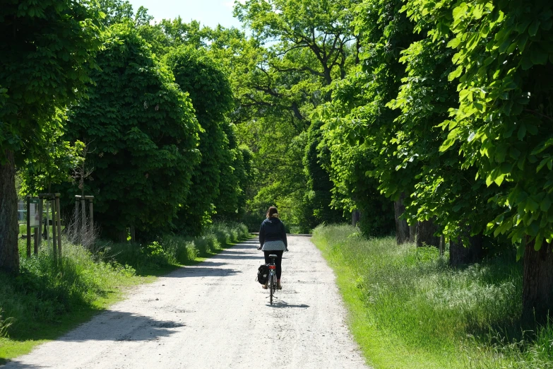 a person riding a bike down the road by itself