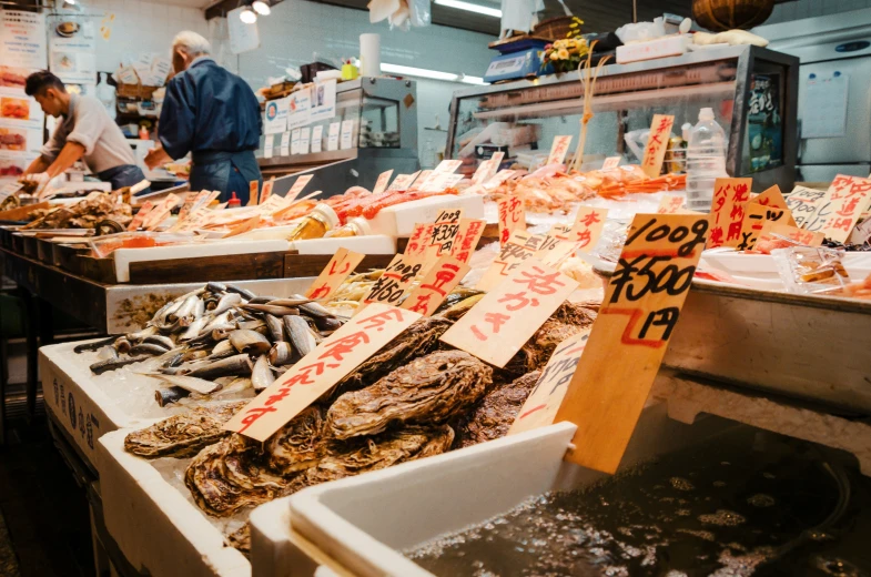 several different kinds of fish sitting in the middle of a room