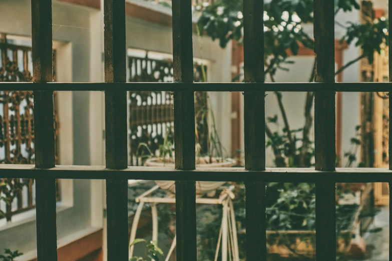 the view through a  window with plants in it