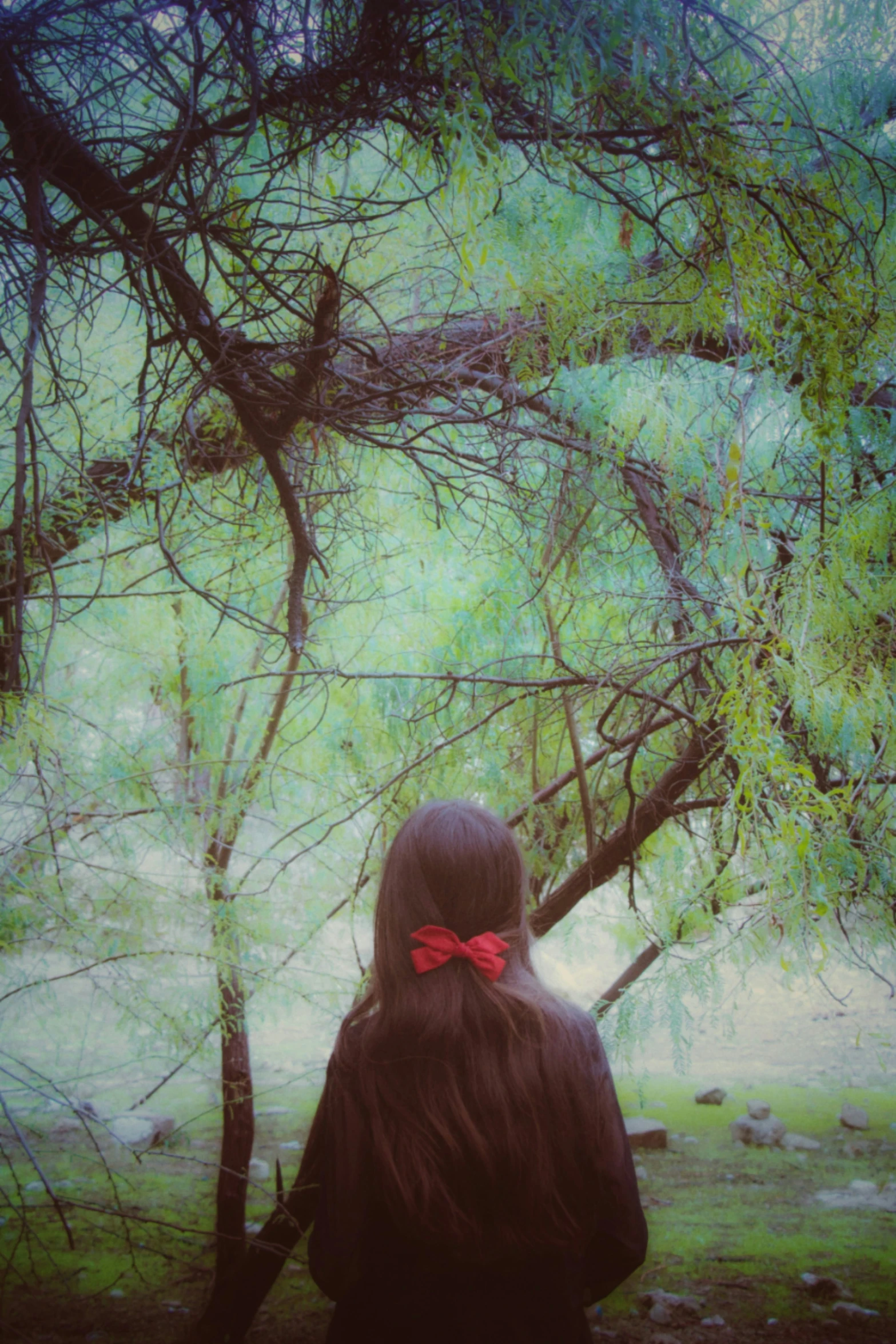 a woman wearing a bow standing near a tree