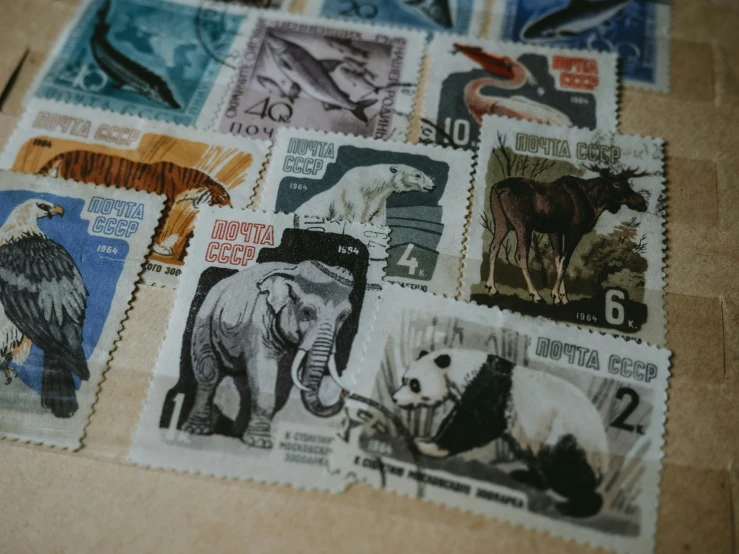 stamps on the table show various animals and birds