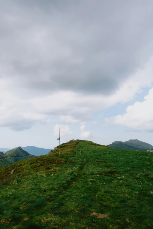 the grass is in the background and some hills