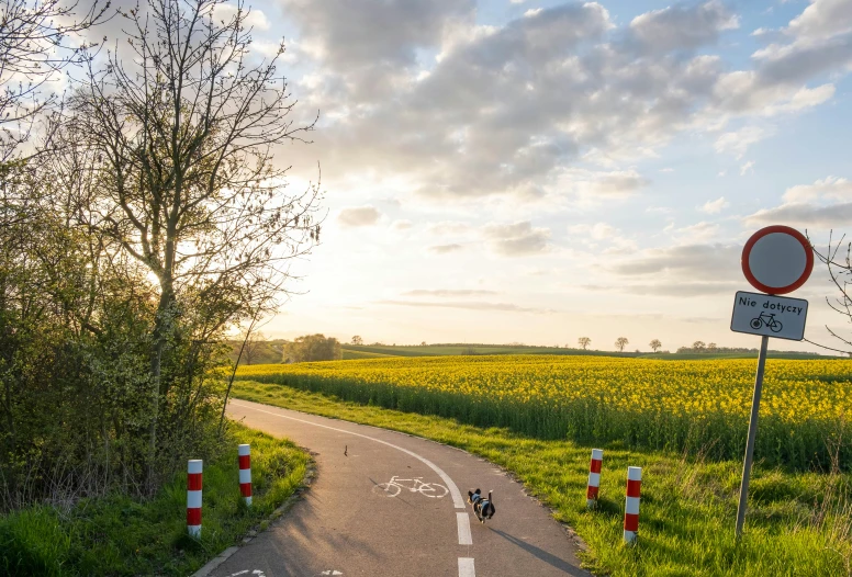 a road with traffic and a sign on it