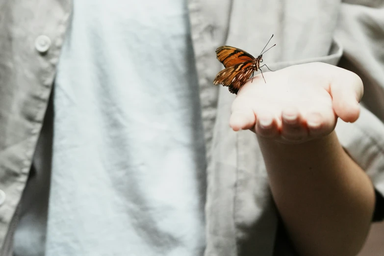 a little child reaching forward to catch a large insect