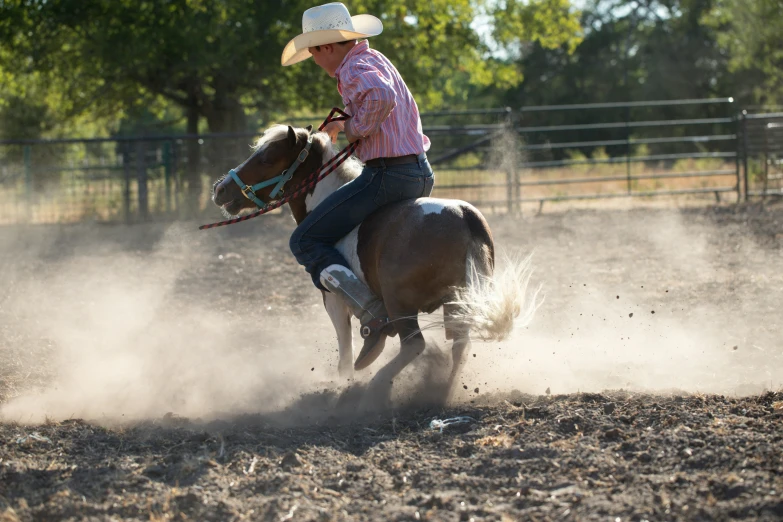 a person riding on the back of a horse