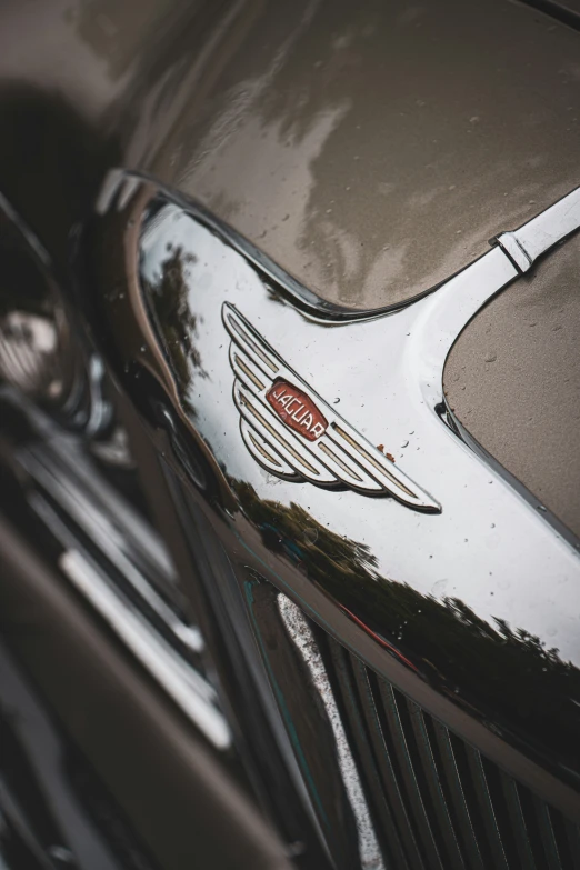 an emblem is on the front of a classic car