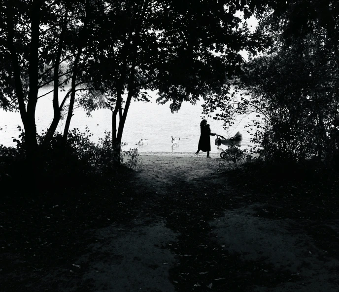 a man walks with his dog at the park