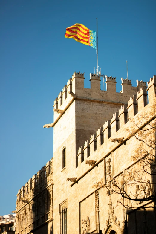 a large, two - toned flag flies from the top of a castle