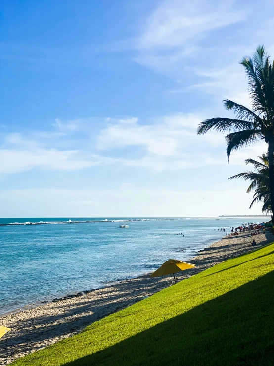 a lush green beach with ocean in the background