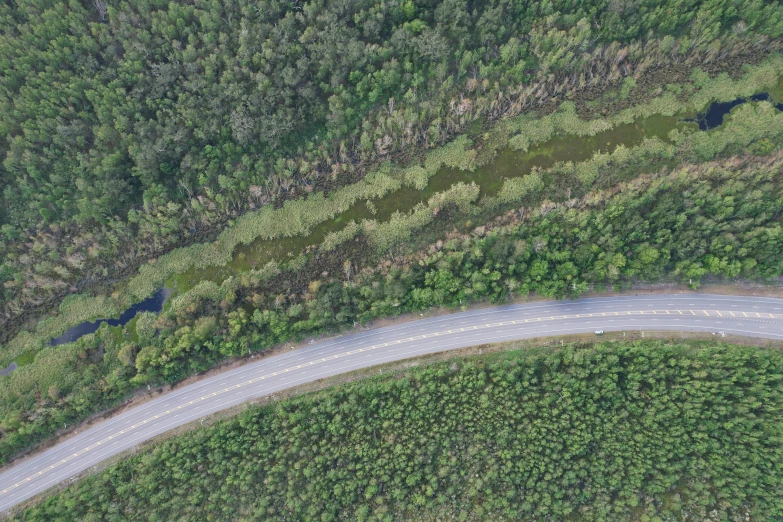 an aerial view shows a straight - road and a lot of pine trees
